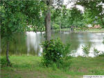 100 Cabana Ln., Albertville, AL 35951 Photo 4