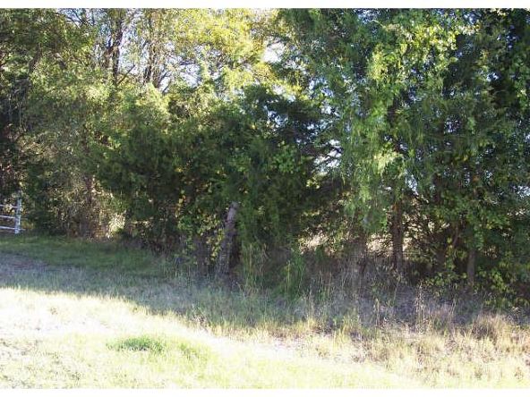 2 Hwy. 121, Bonham, TX 75418 Photo 6