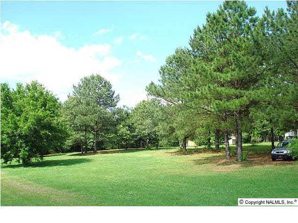 100 Cabana Ln., Albertville, AL 35951 Photo 7