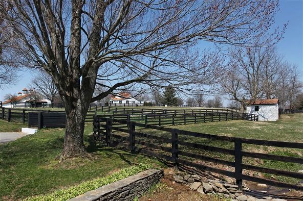 5222 Paris Pike, Lexington, KY 40511 Photo 50