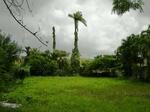 1942 N.W. 30 St., Miami, FL 33142 Photo 2